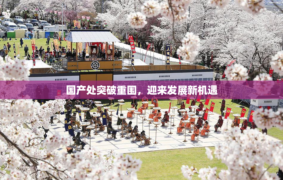 国产处突破重围，迎来发展新机遇
