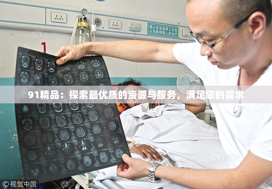 91精品：探索最优质的资源与服务，满足您的需求