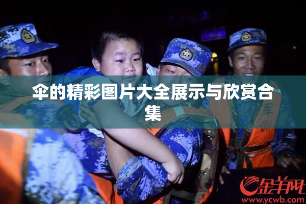 伞的精彩图片大全展示与欣赏合集
