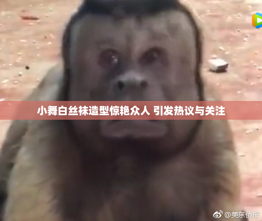 小舞白丝袜造型惊艳众人 引发热议与关注