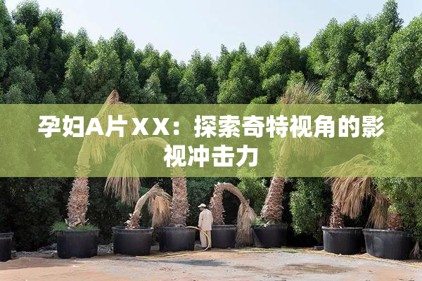 孕妇A片ⅩX：探索奇特视角的影视冲击力
