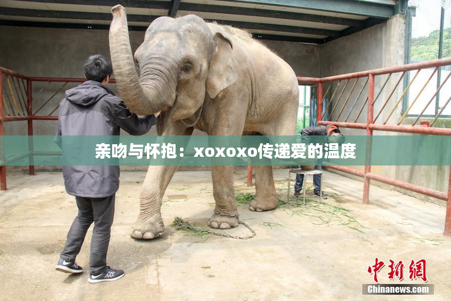 亲吻与怀抱：xoxoxo传递爱的温度