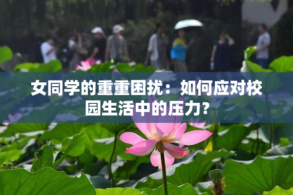 女同学的重重困扰：如何应对校园生活中的压力？