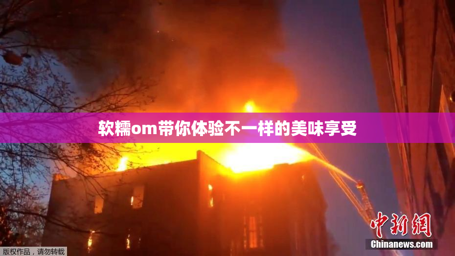 软糯om带你体验不一样的美味享受