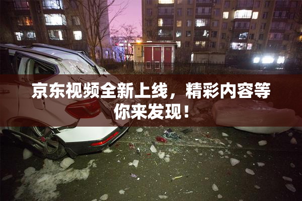 京东视频全新上线，精彩内容等你来发现！