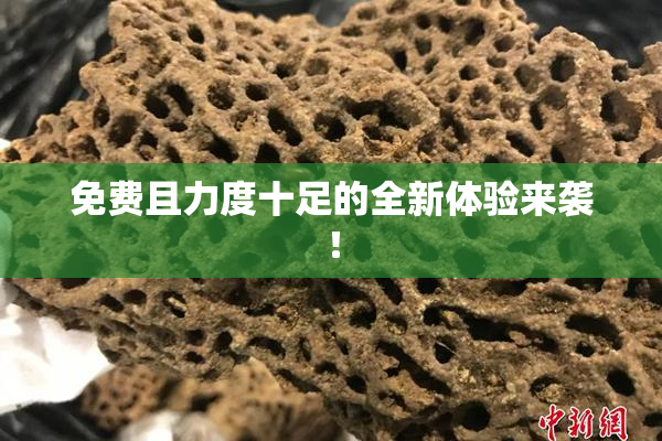 免费且力度十足的全新体验来袭！