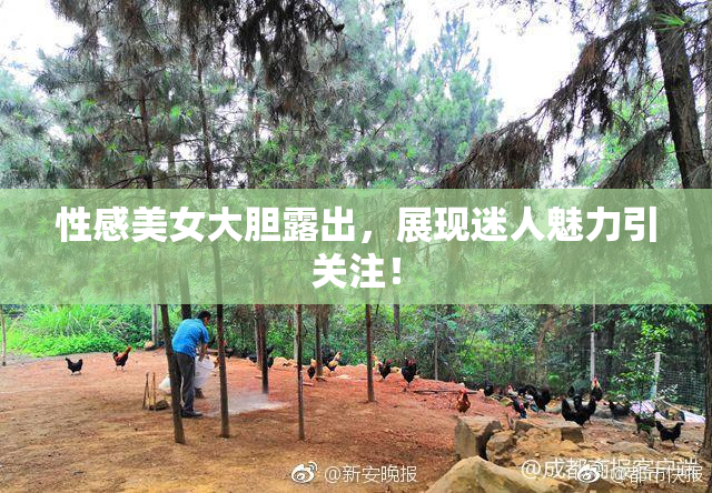 性感美女大胆露出，展现迷人魅力引关注！