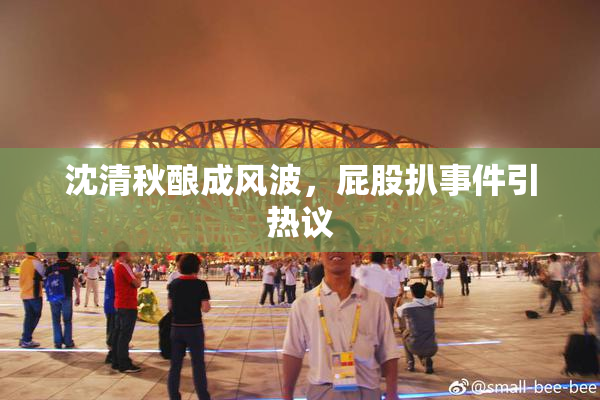 沈清秋酿成风波，屁股扒事件引热议