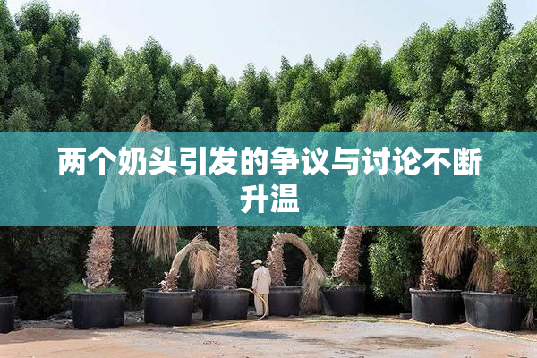 两个奶头引发的争议与讨论不断升温