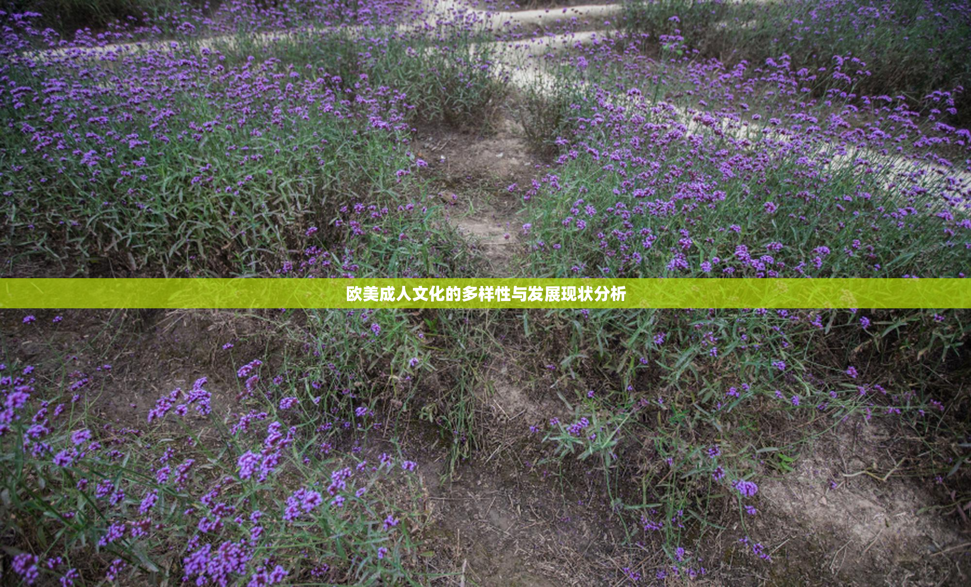 欧美成人文化的多样性与发展现状分析