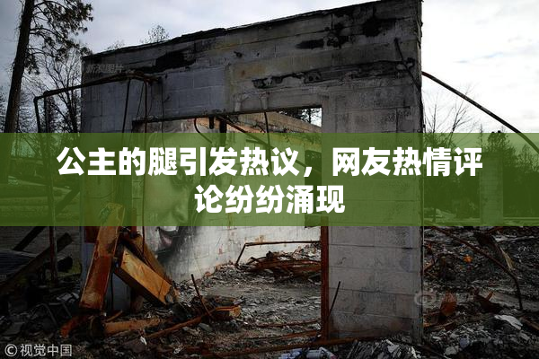 公主的腿引发热议，网友热情评论纷纷涌现