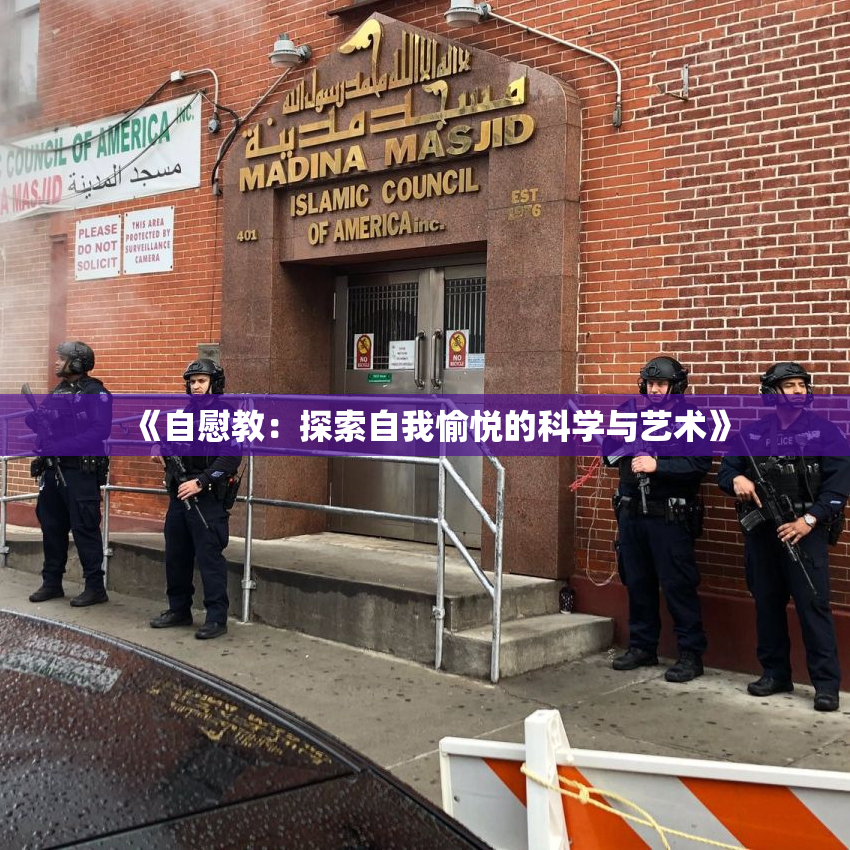 《自慰教：探索自我愉悦的科学与艺术》