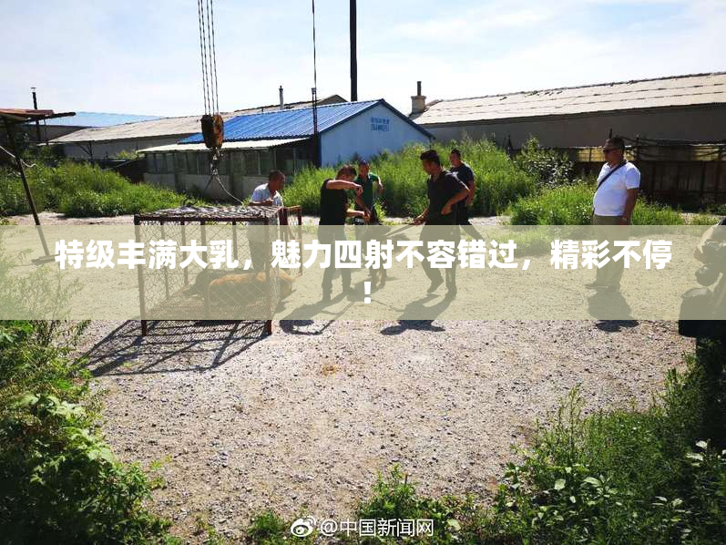 特级丰满大乳，魅力四射不容错过，精彩不停！