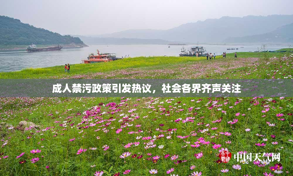 成人禁污政策引发热议，社会各界齐声关注
