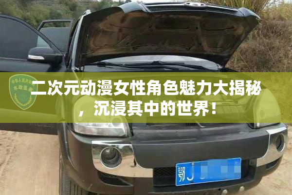 二次元动漫女性角色魅力大揭秘，沉浸其中的世界！