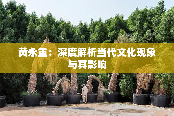 黄永重：深度解析当代文化现象与其影响
