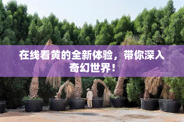 在线看黄的全新体验，带你深入奇幻世界！