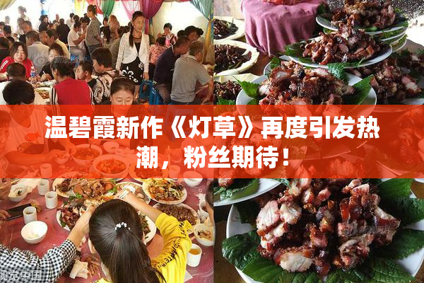 温碧霞新作《灯草》再度引发热潮，粉丝期待！