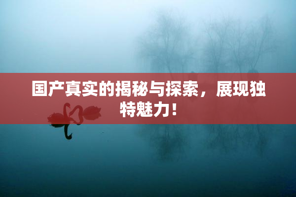 国产真实的揭秘与探索，展现独特魅力！