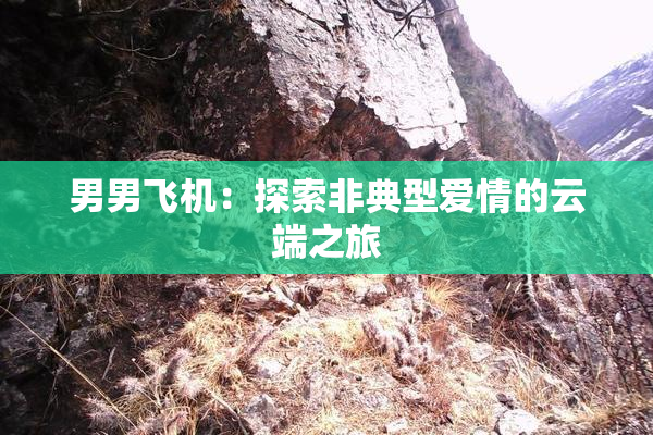 男男飞机：探索非典型爱情的云端之旅