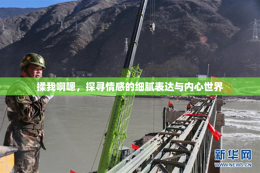 揉我啊嗯，探寻情感的细腻表达与内心世界
