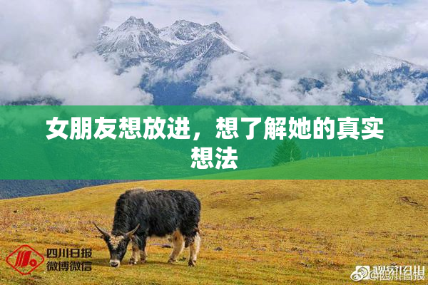 女朋友想放进，想了解她的真实想法