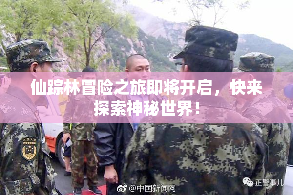 仙踪林冒险之旅即将开启，快来探索神秘世界！