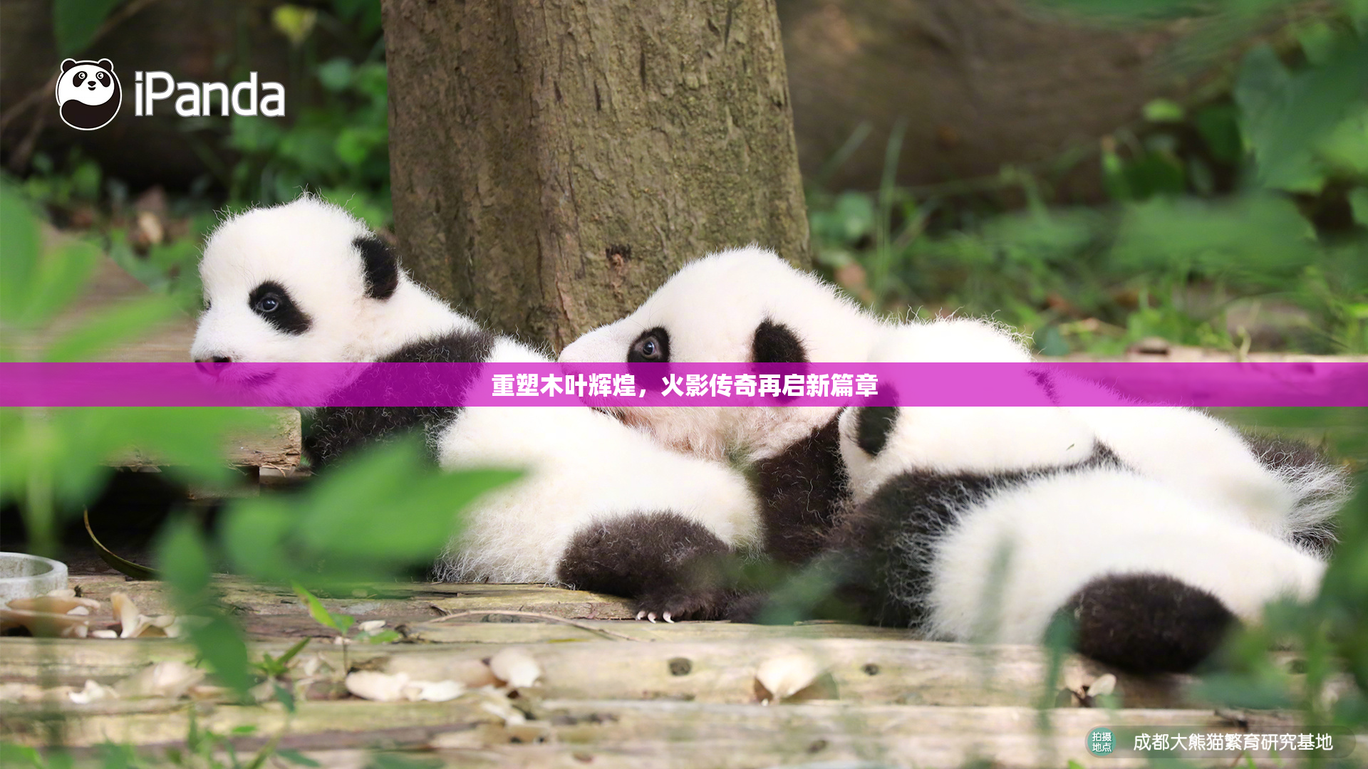 重塑木叶辉煌，火影传奇再启新篇章