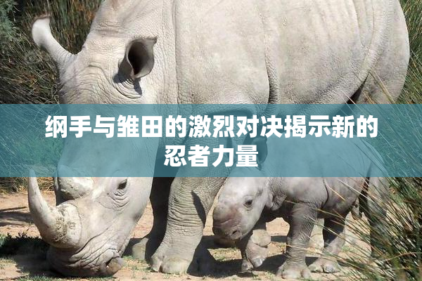 纲手与雏田的激烈对决揭示新的忍者力量