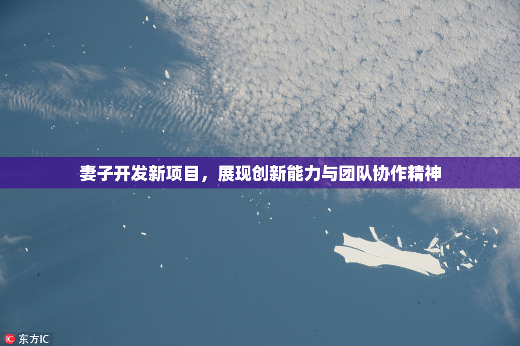 妻子开发新项目，展现创新能力与团队协作精神