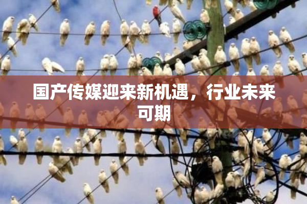 国产传媒迎来新机遇，行业未来可期