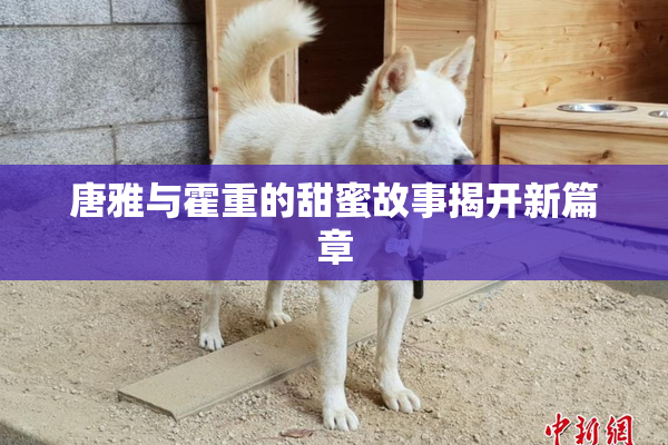 唐雅与霍重的甜蜜故事揭开新篇章