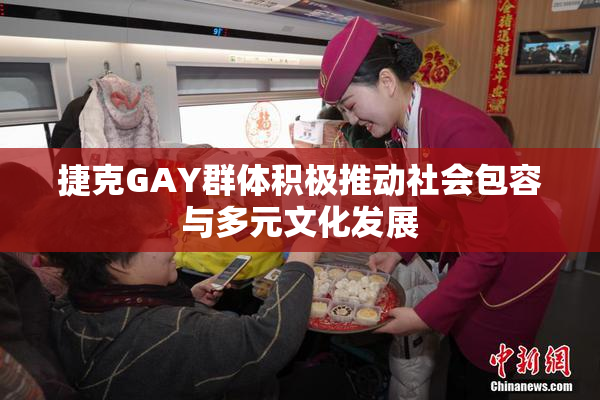 捷克GAY群体积极推动社会包容与多元文化发展