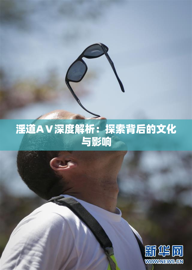 淫道AⅤ深度解析：探索背后的文化与影响