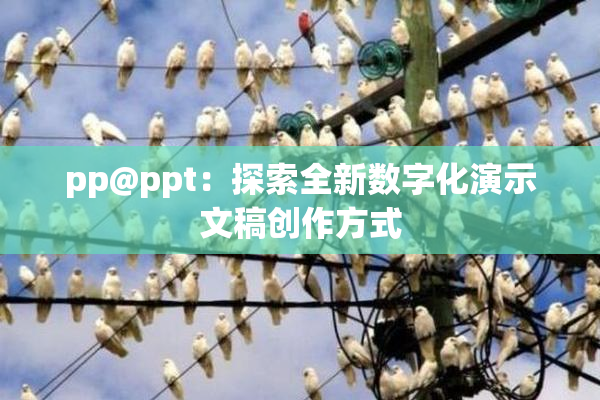 pp@ppt：探索全新数字化演示文稿创作方式