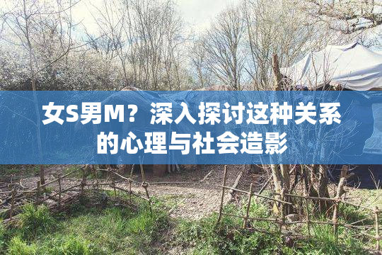 女S男M？深入探讨这种关系的心理与社会造影