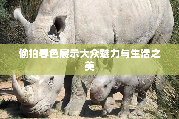 偷拍春色展示大众魅力与生活之美