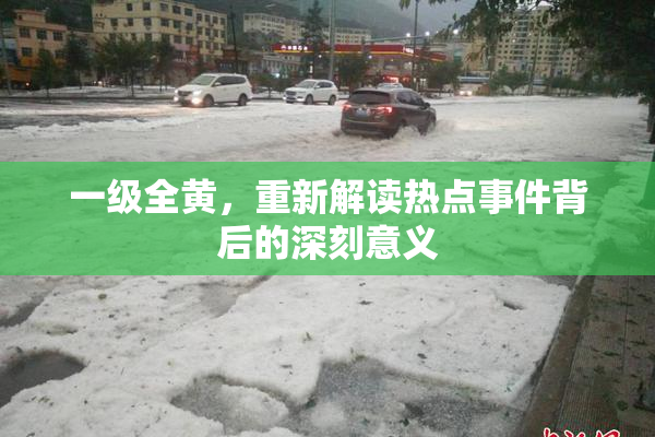 一级全黄，重新解读热点事件背后的深刻意义