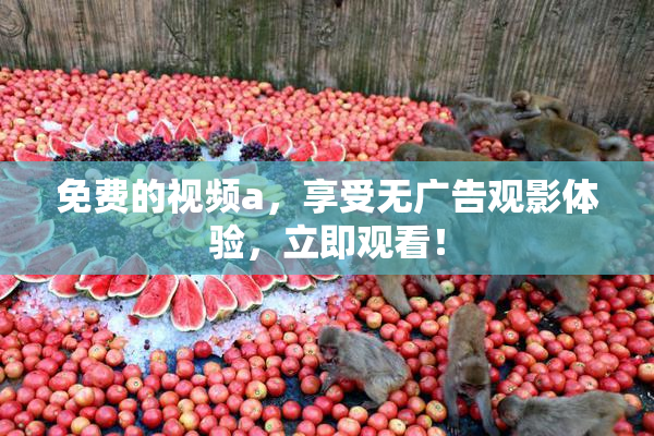 免费的视频a，享受无广告观影体验，立即观看！
