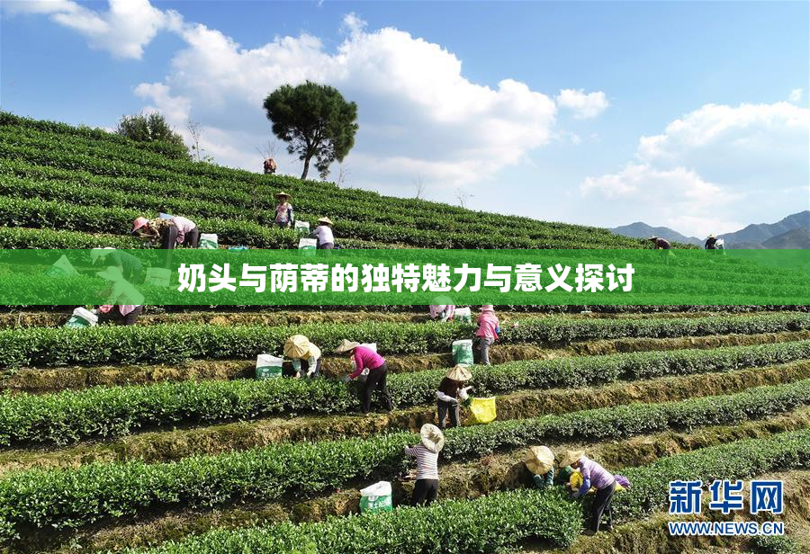奶头与荫蒂的独特魅力与意义探讨