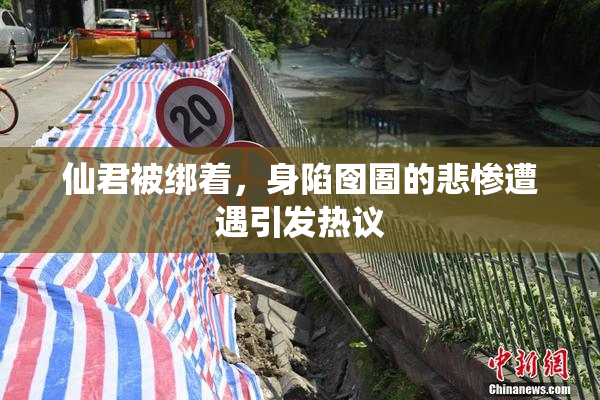 仙君被绑着，身陷囹圄的悲惨遭遇引发热议