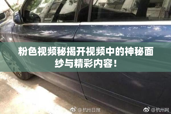 粉色视频秘揭开视频中的神秘面纱与精彩内容！