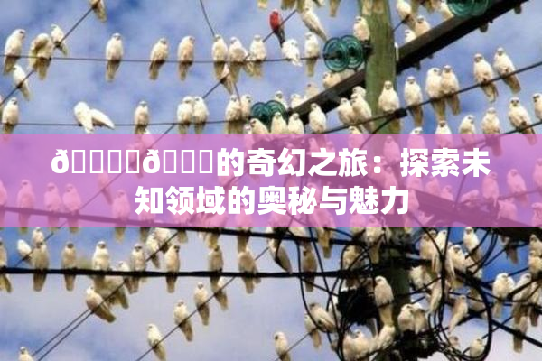 🔞‌🍌的奇幻之旅：探索未知领域的奥秘与魅力
