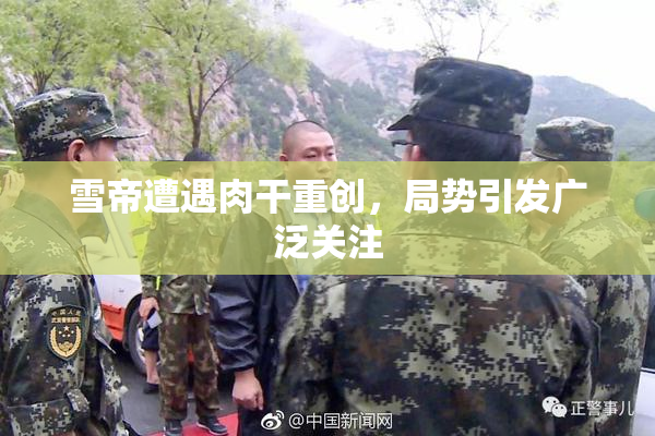雪帝遭遇肉干重创，局势引发广泛关注
