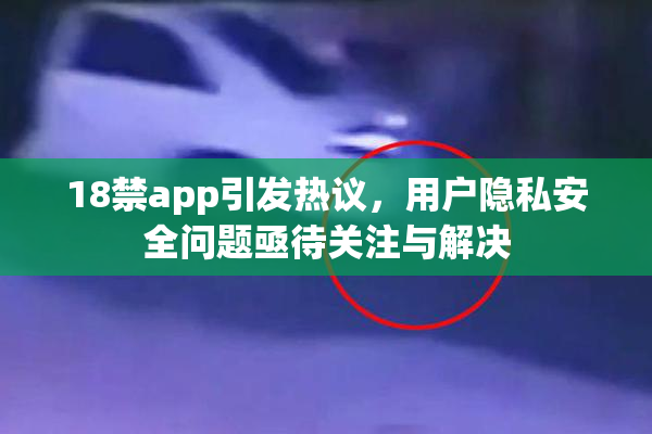 18禁app引发热议，用户隐私安全问题亟待关注与解决