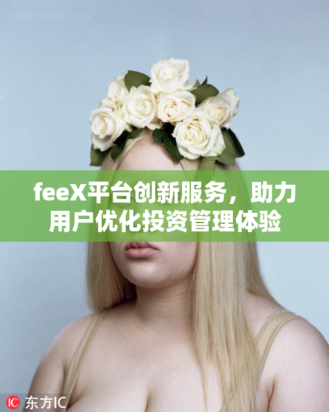 feeX平台创新服务，助力用户优化投资管理体验