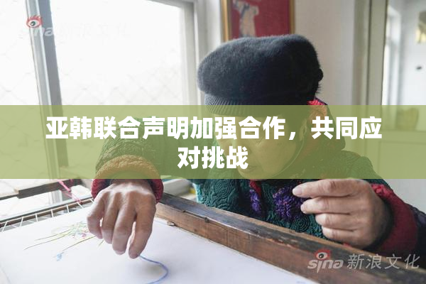 亚韩联合声明加强合作，共同应对挑战