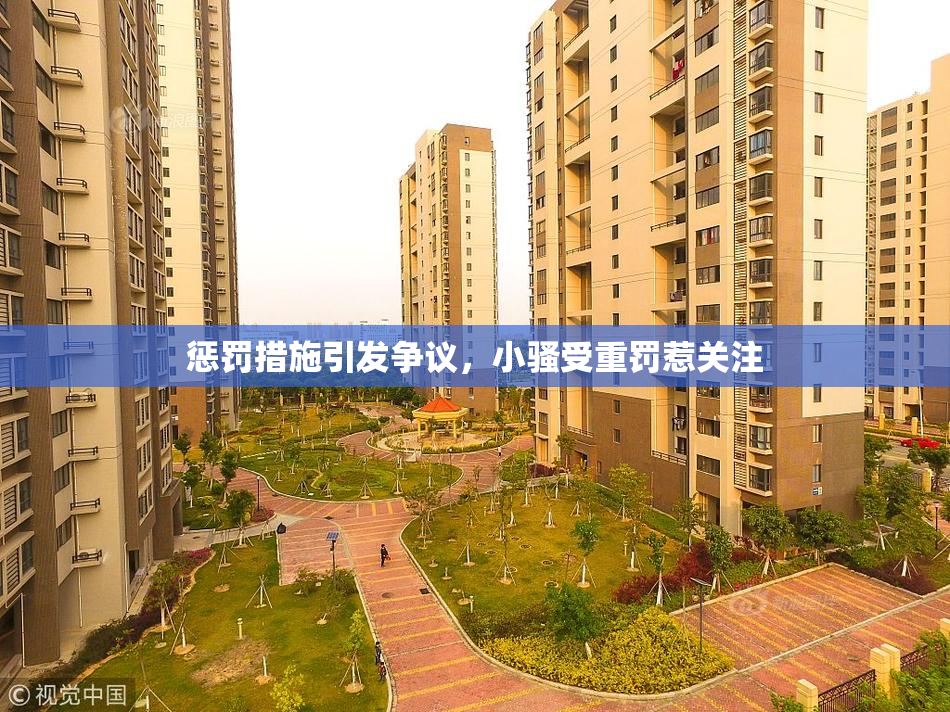 惩罚措施引发争议，小骚受重罚惹关注
