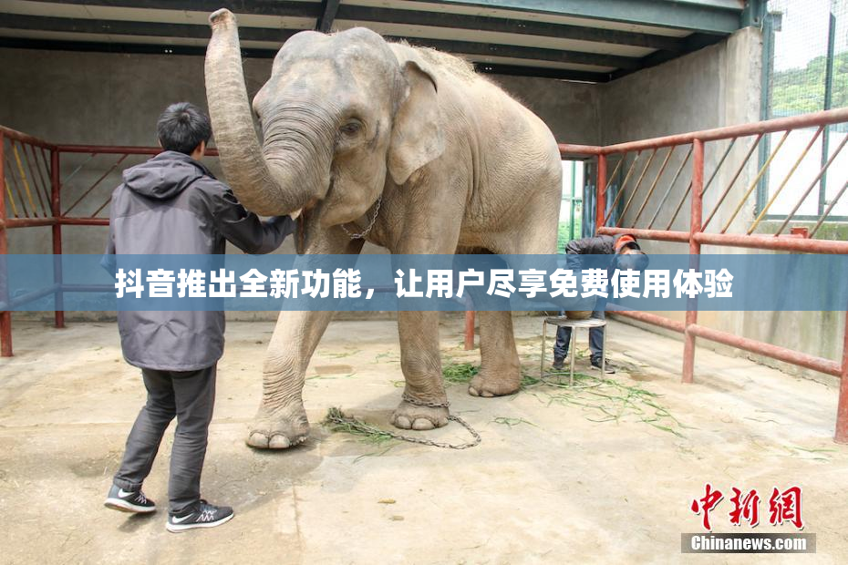 抖音推出全新功能，让用户尽享免费使用体验