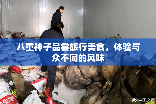 八重神子品尝旅行美食，体验与众不同的风味